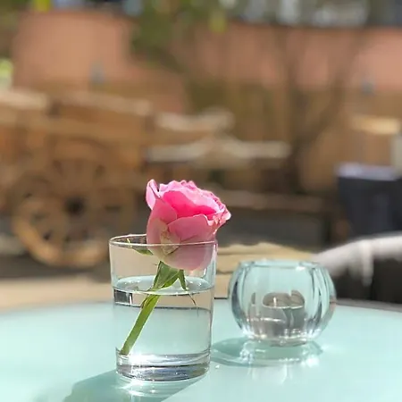 Otel Restaurant Goldenes Ross Gollheim